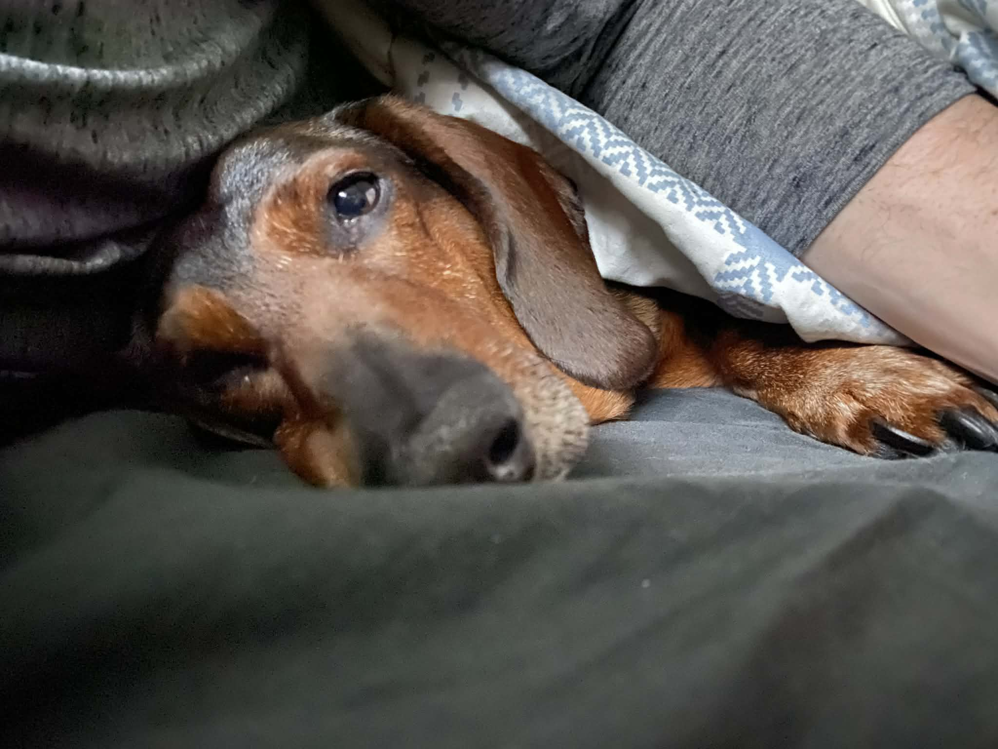 Our Story — Shop and Sniff